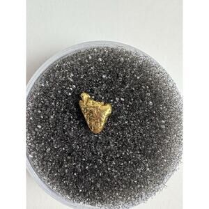 Natural Alaskan Gold Nugget Raw Hand Picked .326 Grams Specimen Collectible